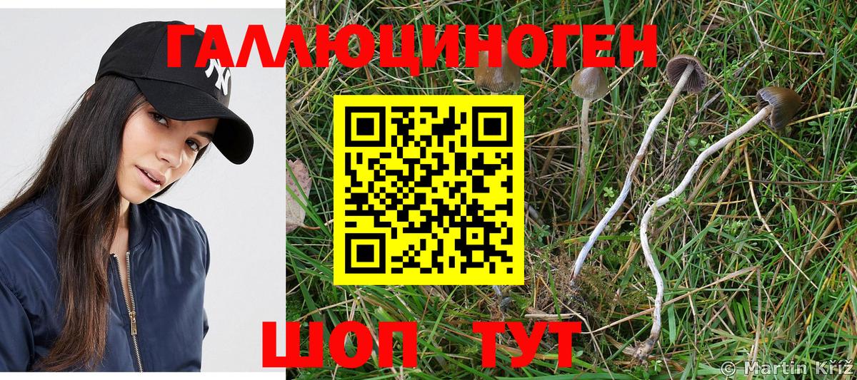 где можно купить   Вход с VPN  Ухта  Галлюциногенные грибы MAGIC MUSHROOMS 