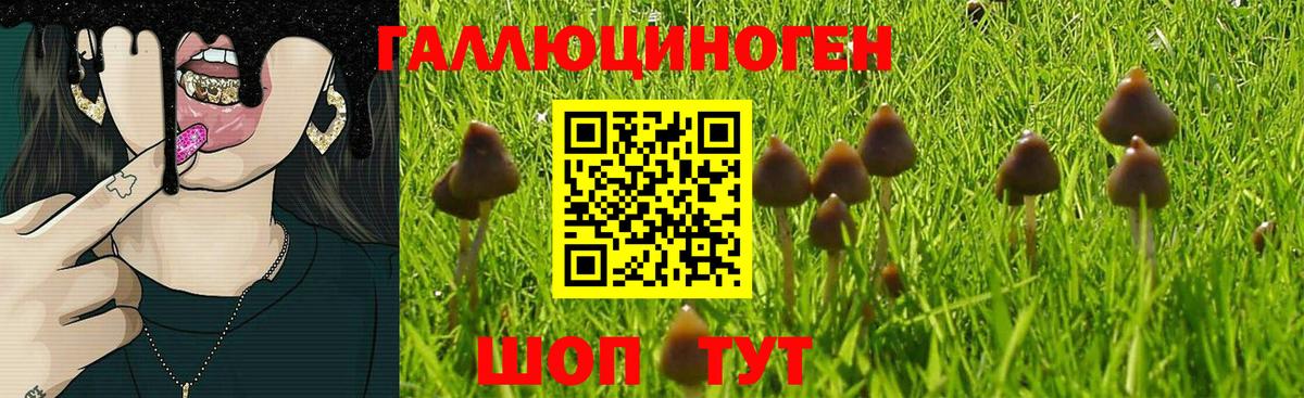 Галлюциногенные грибы мухоморы Ухта